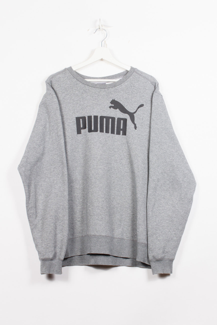 Puma Hoodie in Grau, XL